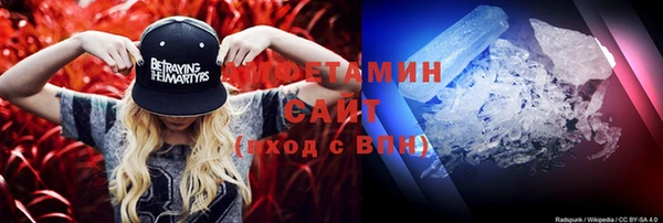 ПСИЛОЦИБИНОВЫЕ ГРИБЫ Бородино