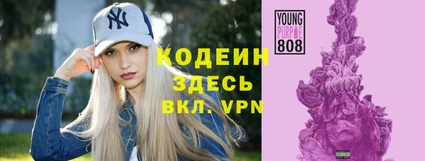 ПСИЛОЦИБИНОВЫЕ ГРИБЫ Бородино