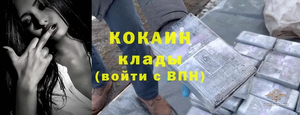 трава Бронницы