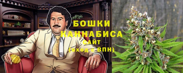 крисы Богданович