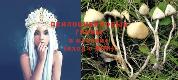 ПСИЛОЦИБИНОВЫЕ ГРИБЫ Бородино
