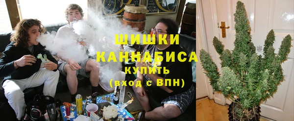 крисы Богданович