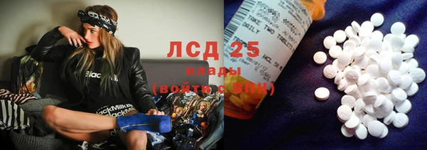 ПСИЛОЦИБИНОВЫЕ ГРИБЫ Бородино