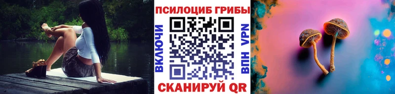 Псилоцибиновые грибы Psilocybine cubensis  Дзержинск 